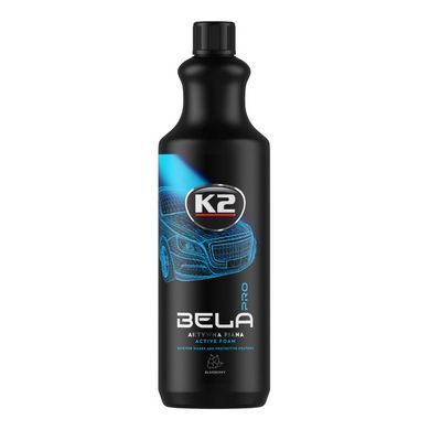 Профессиональный комплект для мойки кузова автомобиля K2 Pro, 12 единиц
