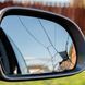 Набір для швидкого ремонту автодзеркал HPX Mirror Repair Kit - 175 мм х 250 мм
