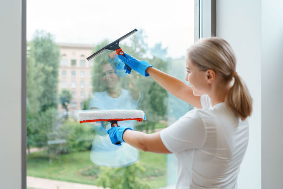 Щітка для миття вікон Еволюшн в зборі, 35 см, Vileda Professional